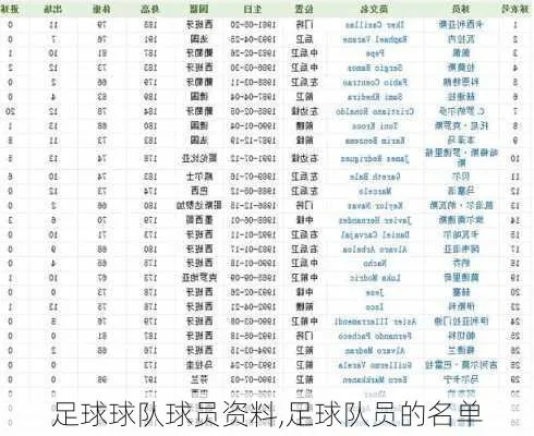 国际足球新浪手机介绍足球明星的私人手机通讯录