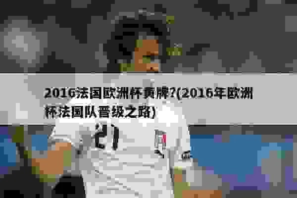 2016年法国欧洲杯黄牌 2016年欧洲杯冠军是哪支球队-第2张图片-www.211178.com_果博福布斯