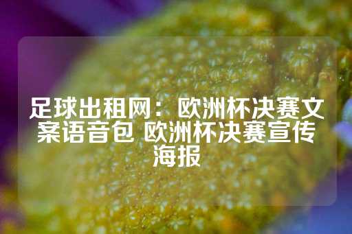 足球出租网：欧洲杯决赛文案语音包 欧洲杯决赛宣传海报