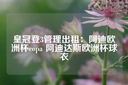 皇冠登3管理出租：阿迪欧洲杯copa 阿迪达斯欧洲杯球衣