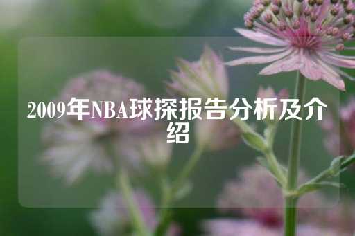 2009年NBA球探报告分析及介绍-第1张图片-皇冠信用盘出租