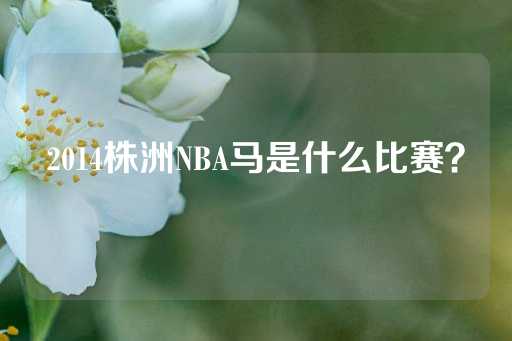 2014株洲NBA马是什么比赛？-第1张图片-皇冠信用盘出租