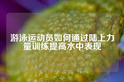 游泳运动员如何通过陆上力量训练提高水中表现