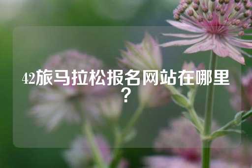 42旅马拉松报名网站在哪里？