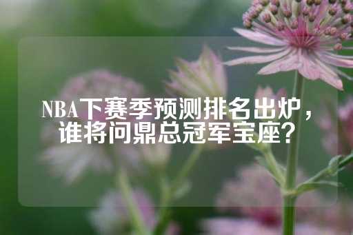 NBA下赛季预测排名出炉，谁将问鼎总冠军宝座？-第1张图片-皇冠信用盘出租