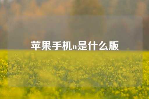 苹果手机n是什么版