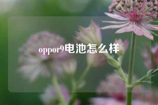 oppor9电池怎么样