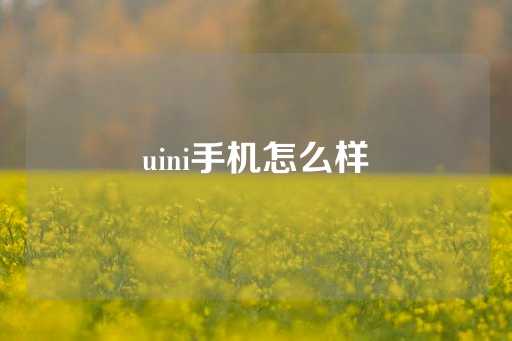 uini手机怎么样-第1张图片-皇冠信用盘出租