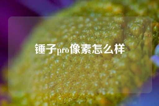 锤子pro像素怎么样