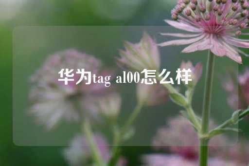 华为tag al00怎么样