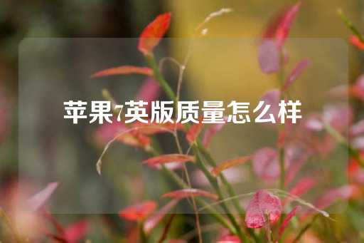 苹果7英版质量怎么样-第1张图片-皇冠信用盘出租