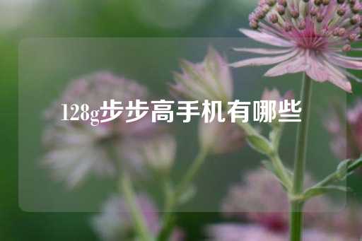 128g步步高手机有哪些-第1张图片-皇冠信用盘出租