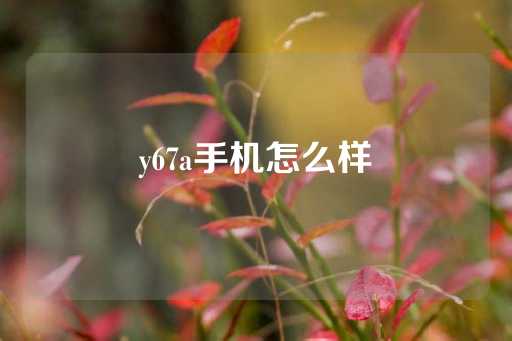 y67a手机怎么样